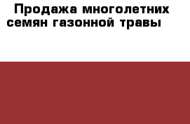 Продажа многолетних семян газонной травы Canada Green › Цена ­ 370 - Камчатский край, Петропавловск-Камчатский г. Сад и огород » Другое   